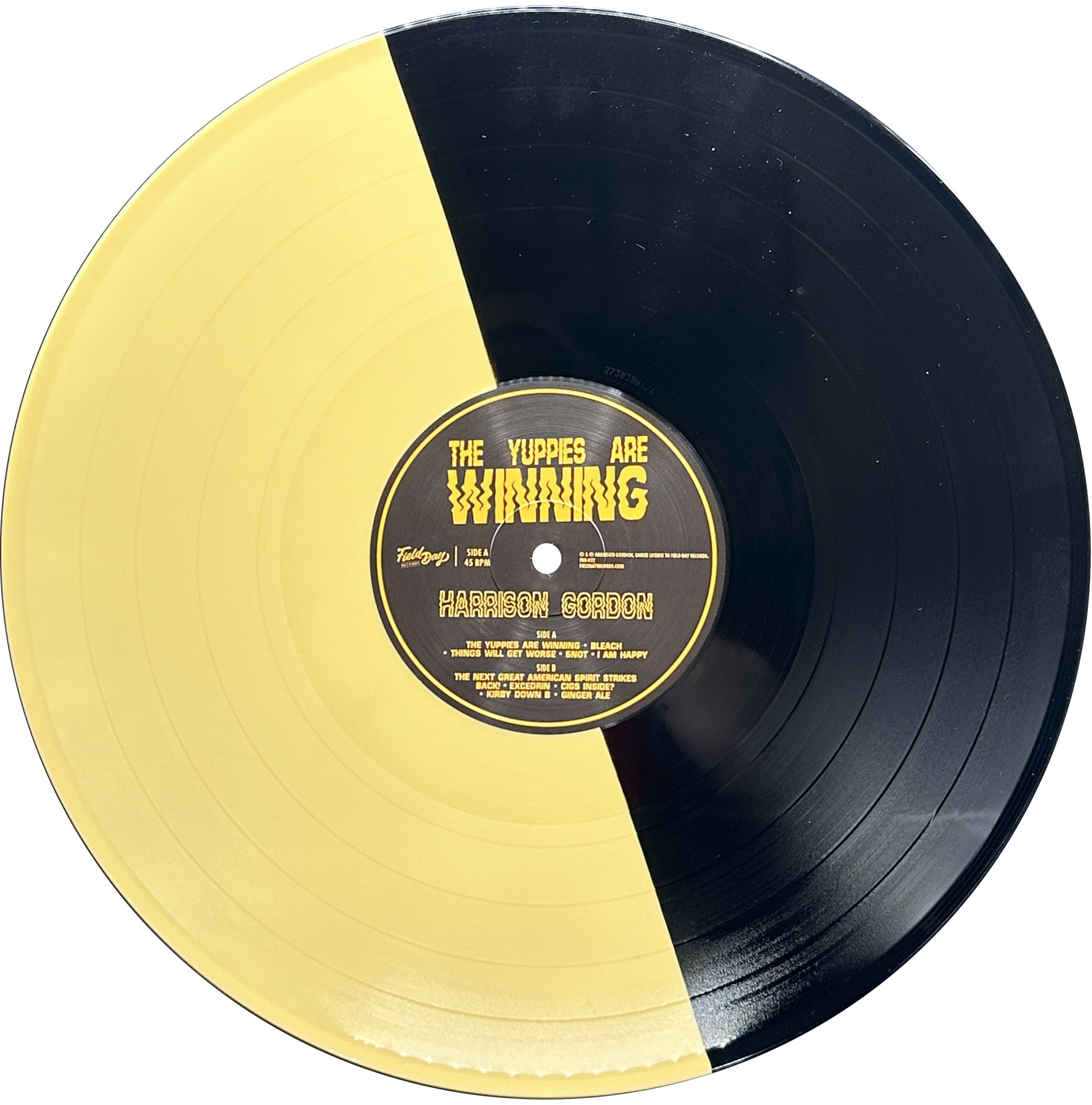 Harrison Gordon - The Yuppies are Winning (Vinyl) - BACK IN STOCK