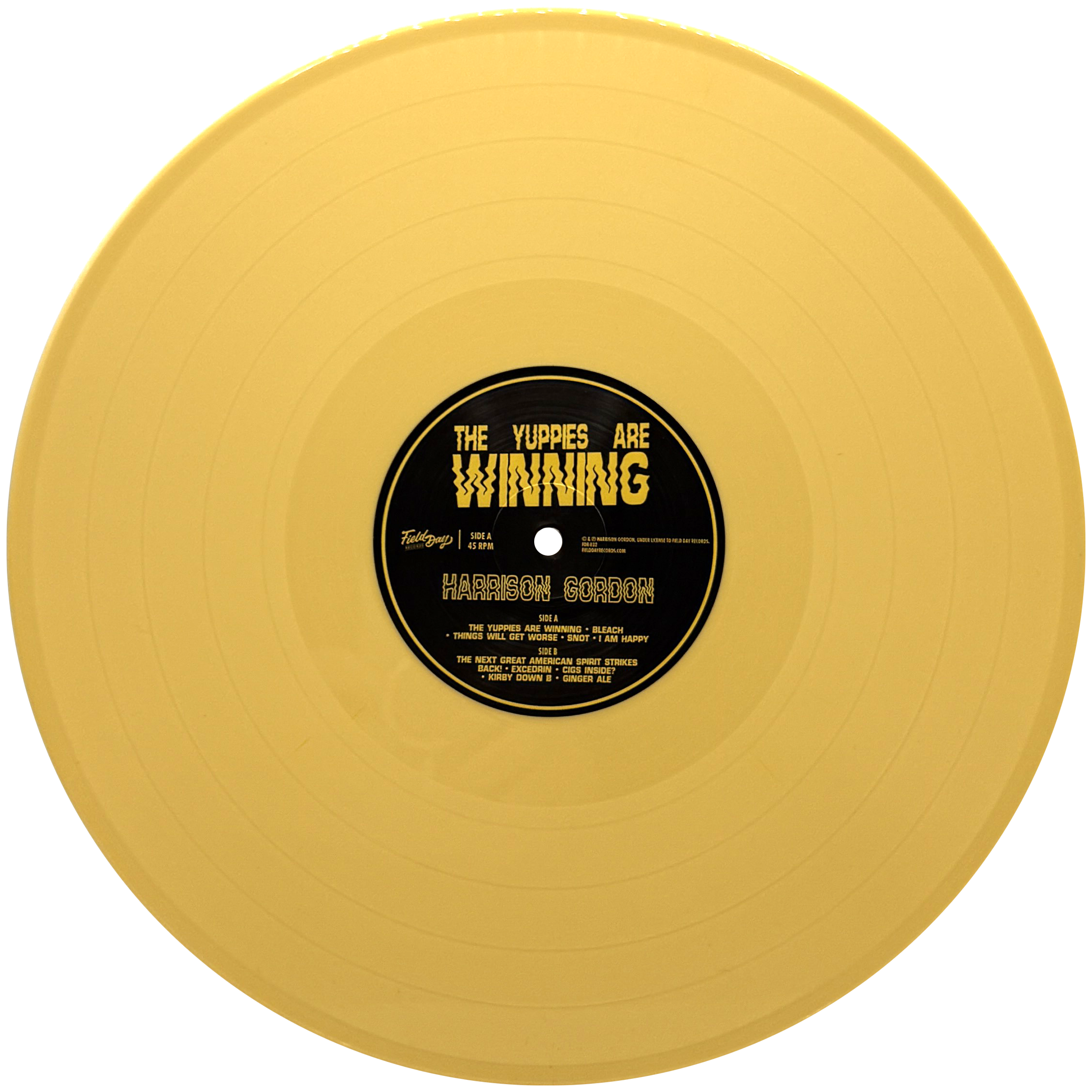 Harrison Gordon - The Yuppies are Winning (Vinyl) - BACK IN STOCK