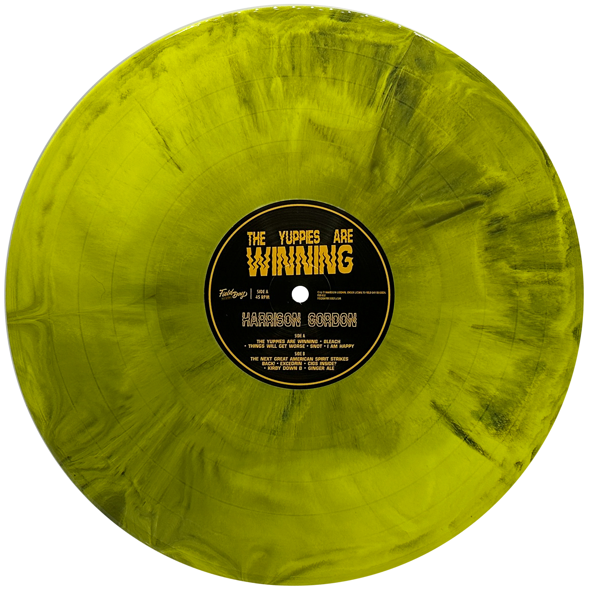 Harrison Gordon - The Yuppies are Winning (Vinyl) - BACK IN STOCK