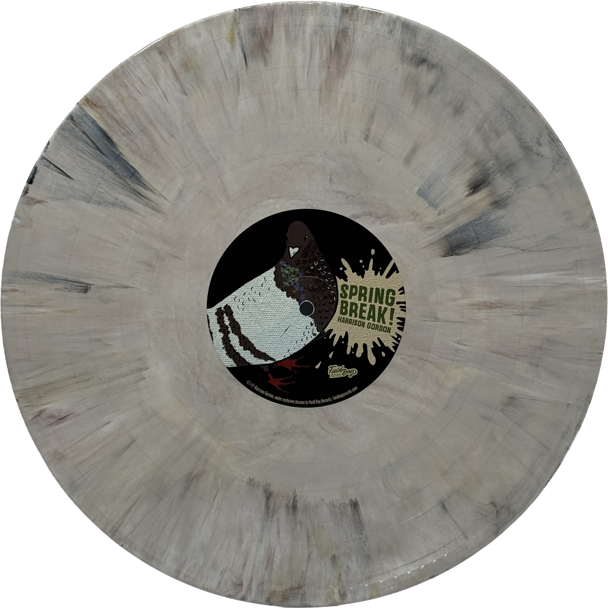 Harrison Gordon - Spring Break! (Vinyl) – Field Day Records