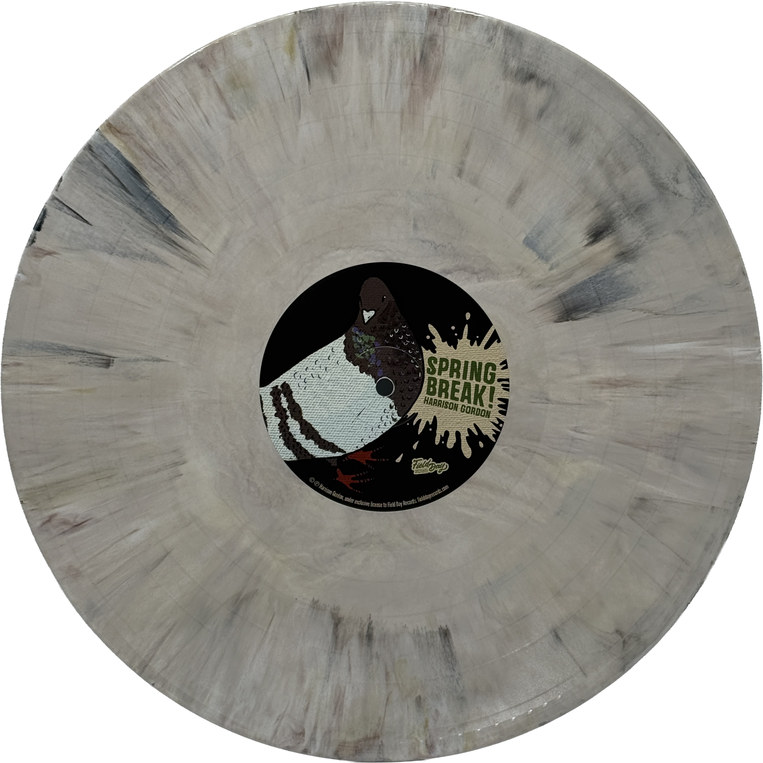 Harrison Gordon - Spring Break! (Vinyl) – Field Day Records